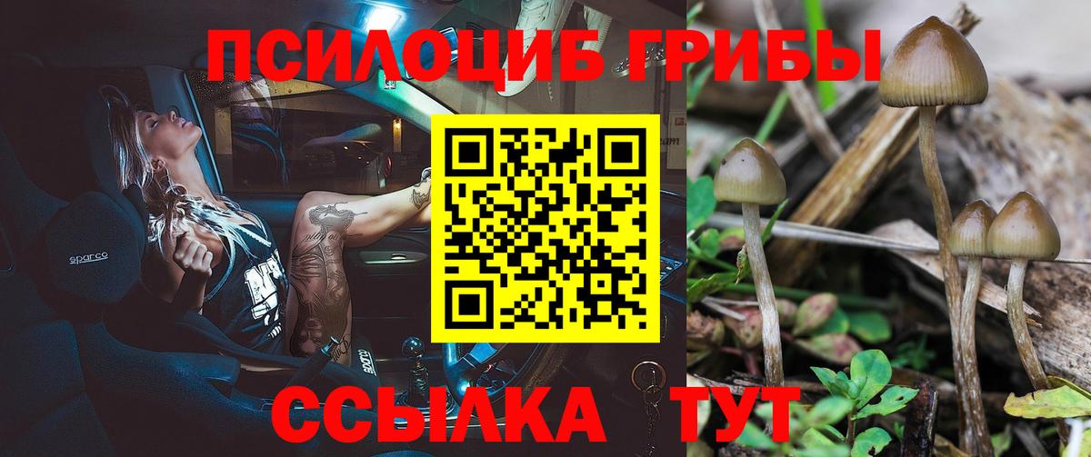 Галлюциногенные грибы Cubensis  Вход с VPN  Южно-Сахалинск 