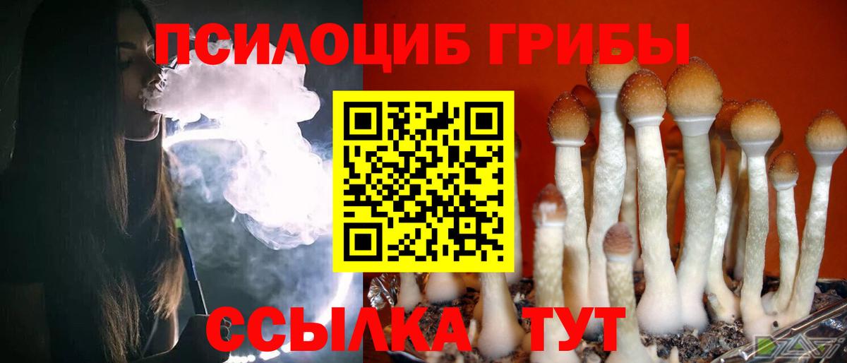 Галлюциногенные грибы Psilocybe Южно-Сахалинск